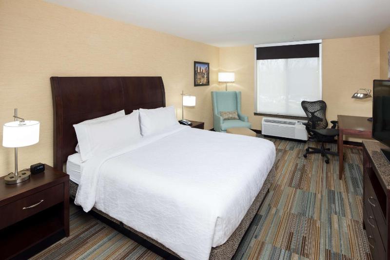 One-Bedroom King Suite with Sofa Bed image 3