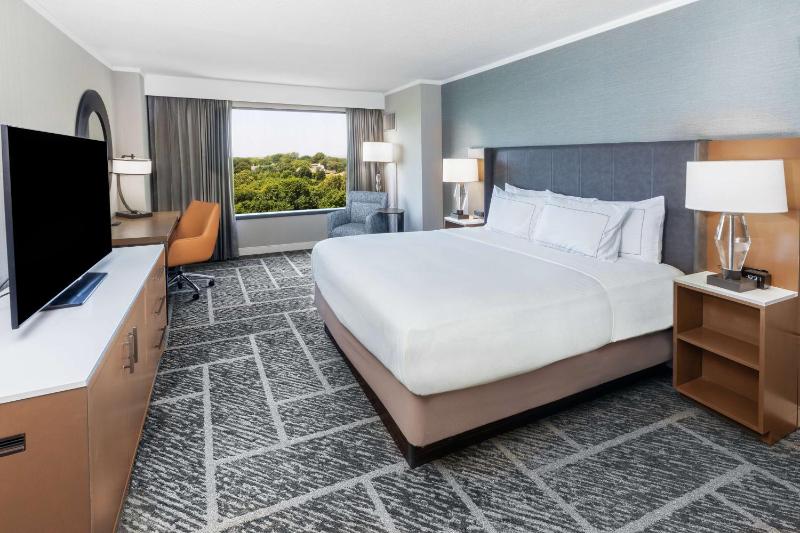 One-Bedroom King Suite image 4