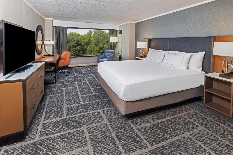 One-Bedroom King Suite image 3