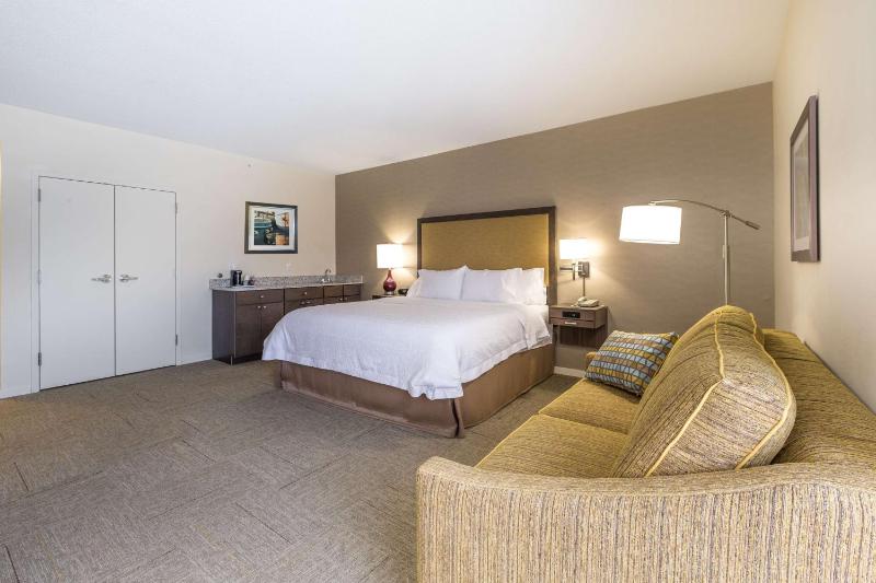 King Studio Suite with Kitchenette - Non-Smoking image 4