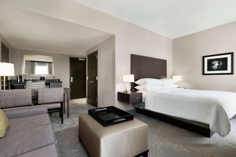King Studio Suite image 4