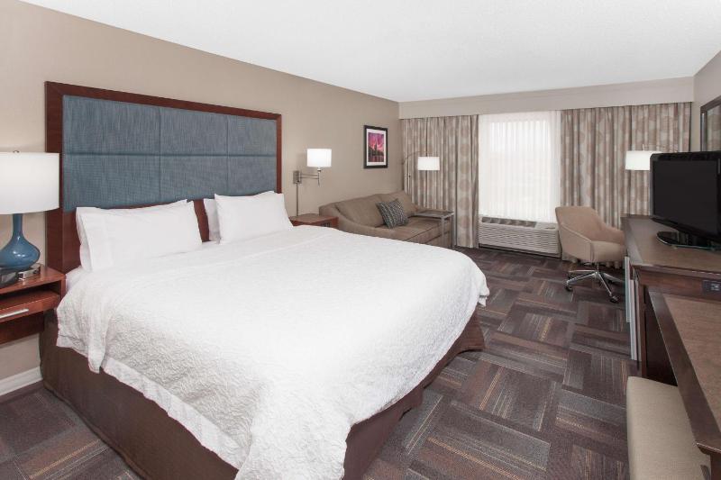 King Room with King Bed - Non-Smoking image 1