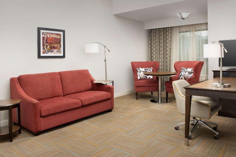 King Studio Suite - Mobility Access/Non-Smoking image 4