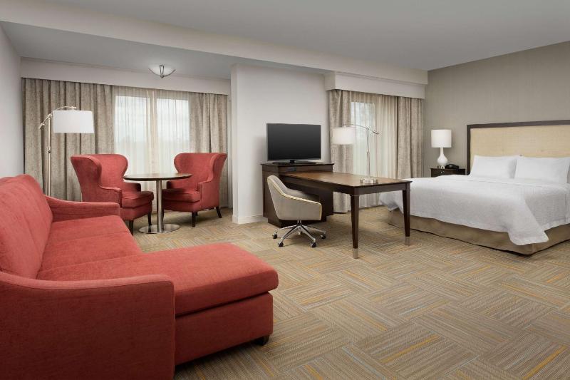King Studio Suite - Mobility Access/Non-Smoking image 3