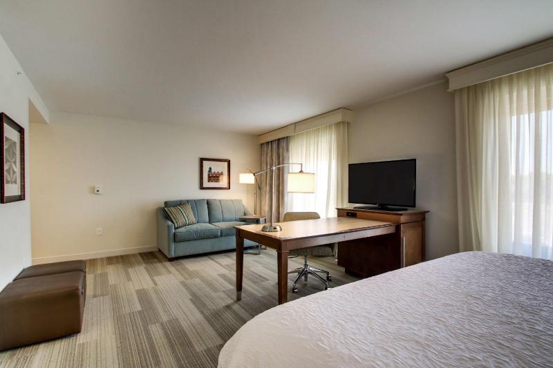 King Studio Suite image 1