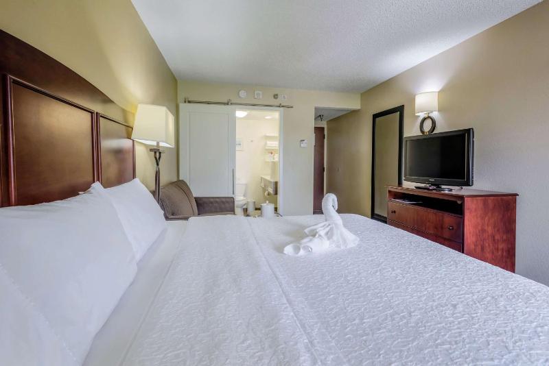 Deluxe King Room image 4
