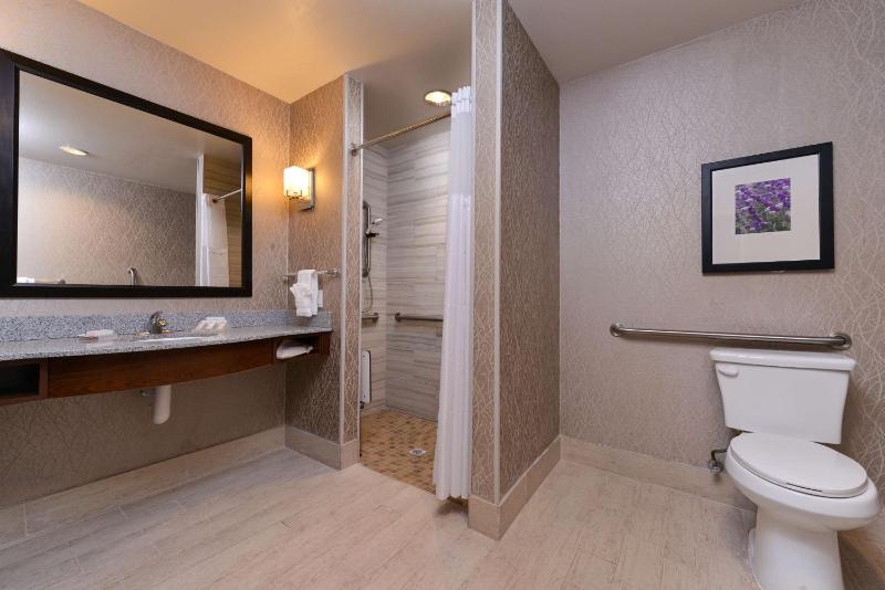 King Room with Roll-In Shower - Mobility Access image 2