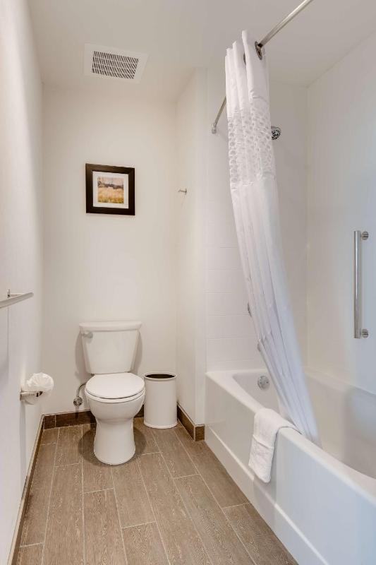 King Studio Suite - Non Smoking image 3