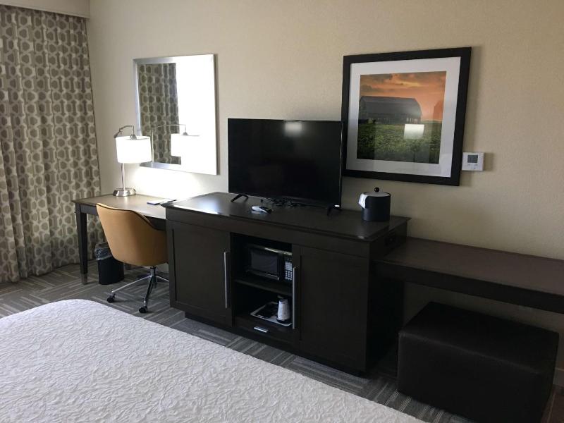 Large King Room image 4