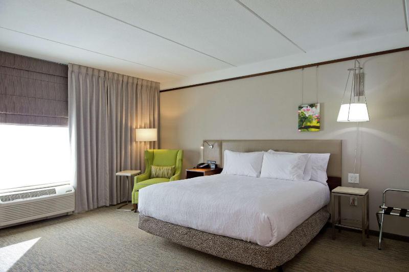 Junior King Suite with Sofa Bed image 1
