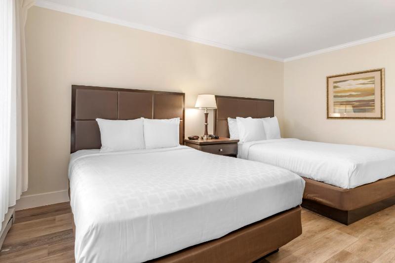 Queen Room with Two Queen Beds - Non-Smoking image 3