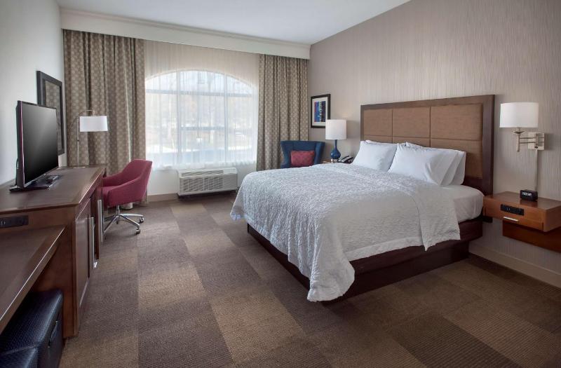 King Room with Accessible Tub - Mobility and Hearing Access/Non-Smoking image 4