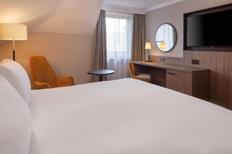 Deluxe King Room image 1
