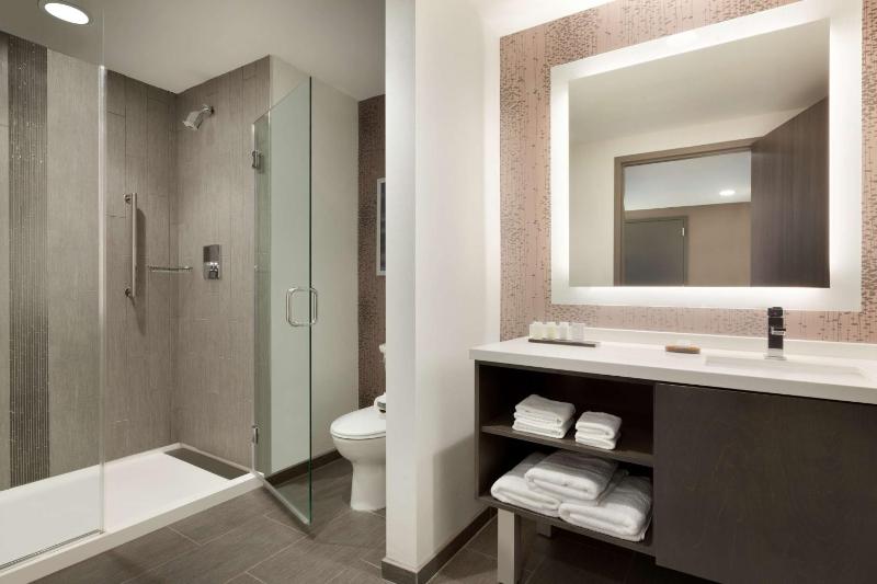 King Studio Suite image 2