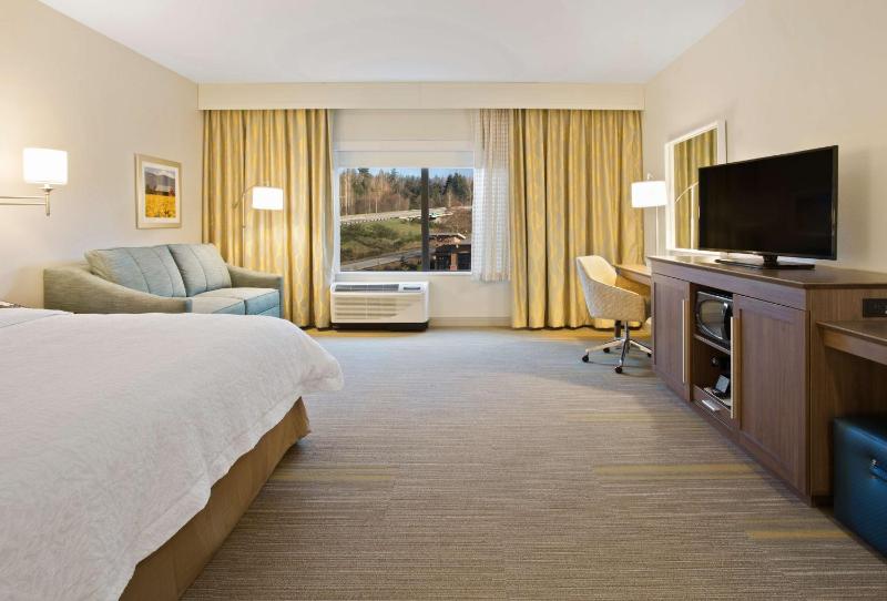 King Studio Suite with Sofa Bed - Hearing Access/Non-Smoking image 4