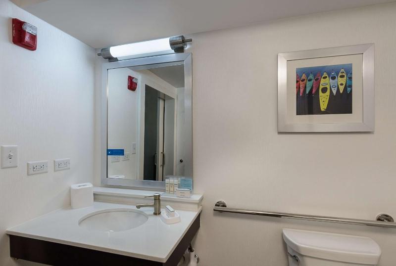King Room with Roll-In Shower - Mobility and Hearing Access/Non-Smoking image 2
