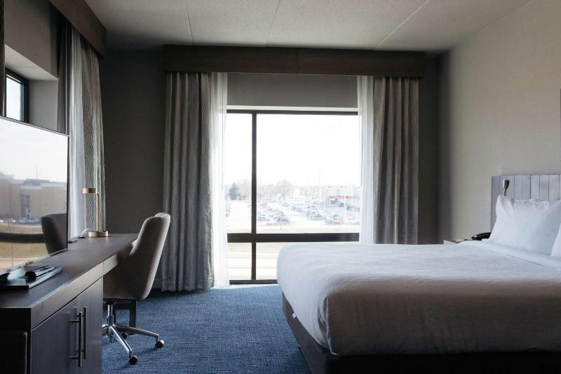 Junior King Suite with Shower image 3
