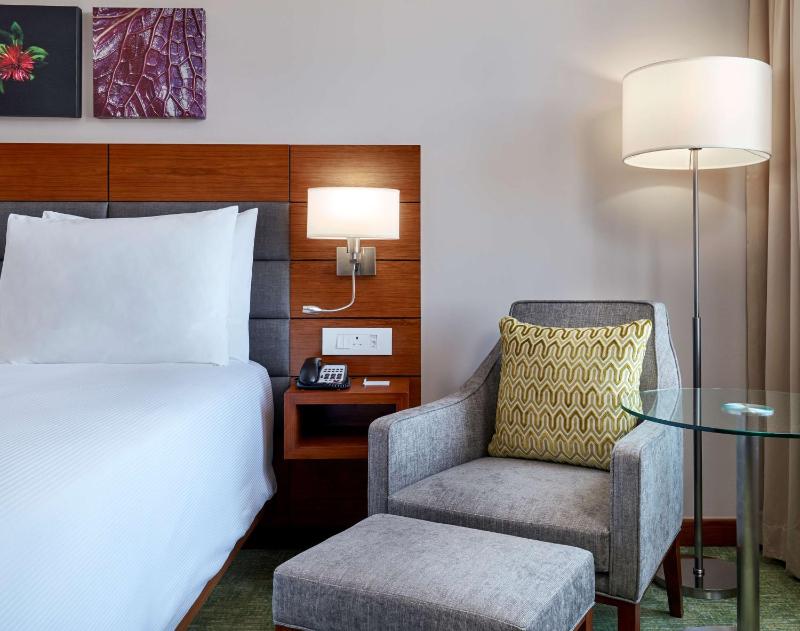 Hilton Garden Inn Gaborone - image 6