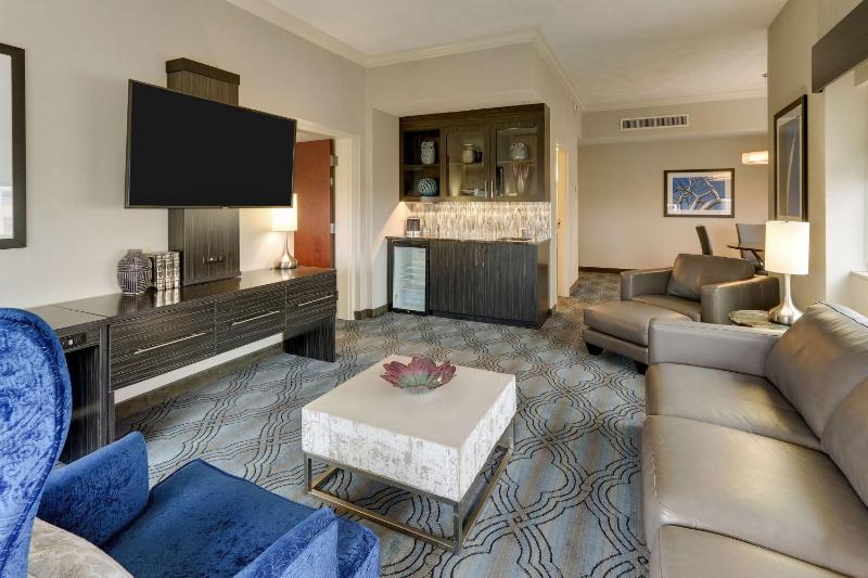 King Studio Suite image 2