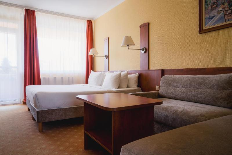 Superior Double or Twin Room image 4