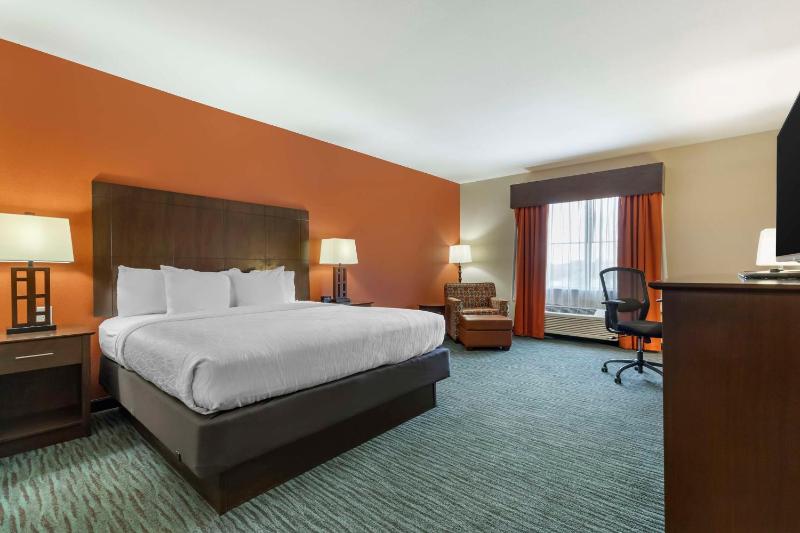 King Room - Non-Smoking image 1