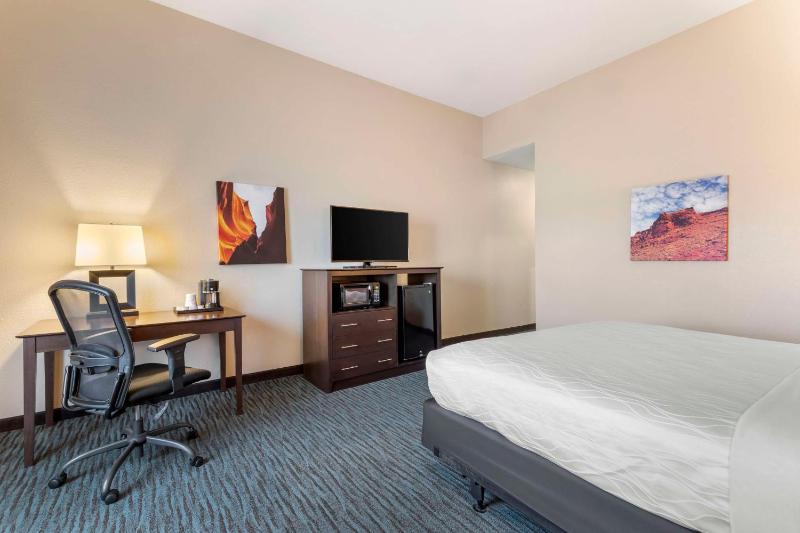 King Room with Roll-In Shower - Disability Access image 4