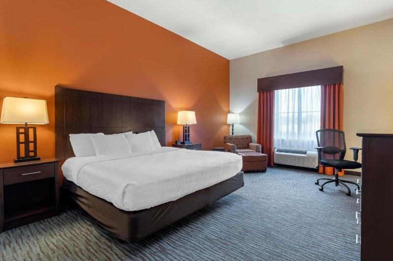 King Room with Roll-In Shower - Disability Access image 1