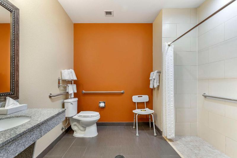 King Room with Roll-In Shower - Disability Access image 2