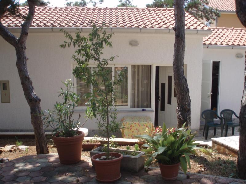 Guest House Cattonaro - image 24