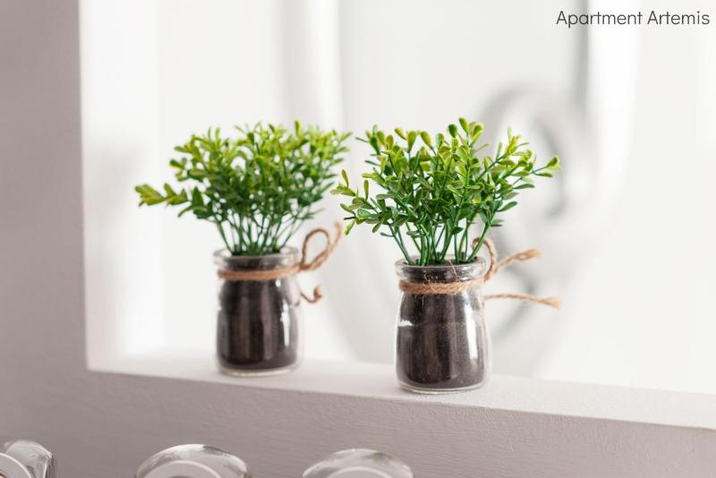 Deluxe Apartment Artemis image 2