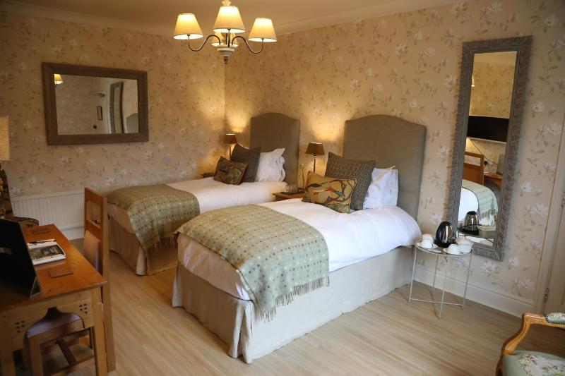 Large Twin Room image 4