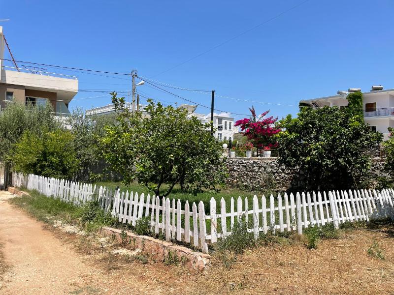 Bega Guesthouse - image 3