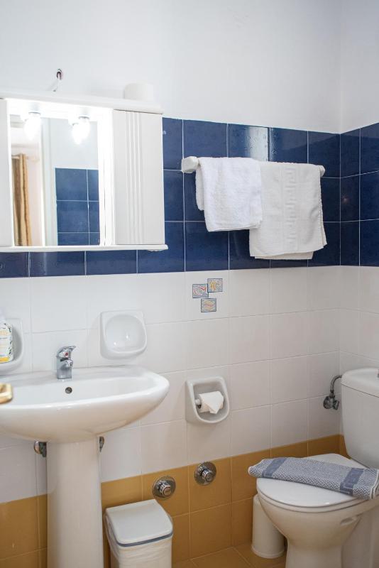 Studio Apartment image 4