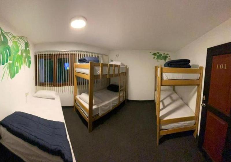 Rainbow Hostel - image 10