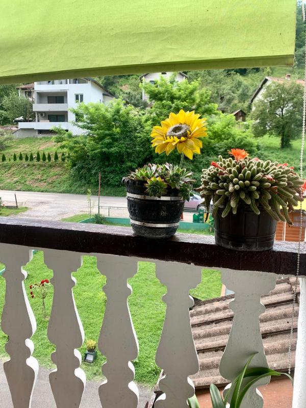 Comfort Triple Room image 4