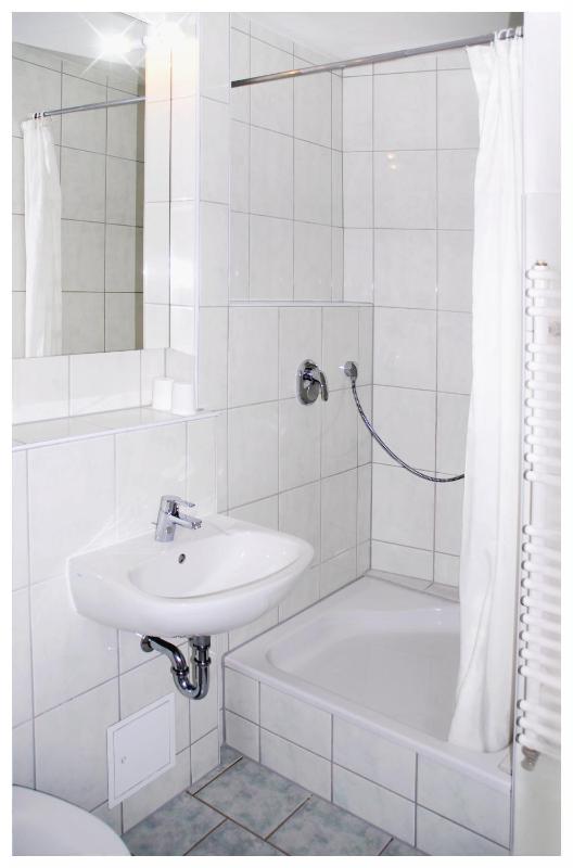  One-Bedroom Apartment image 2