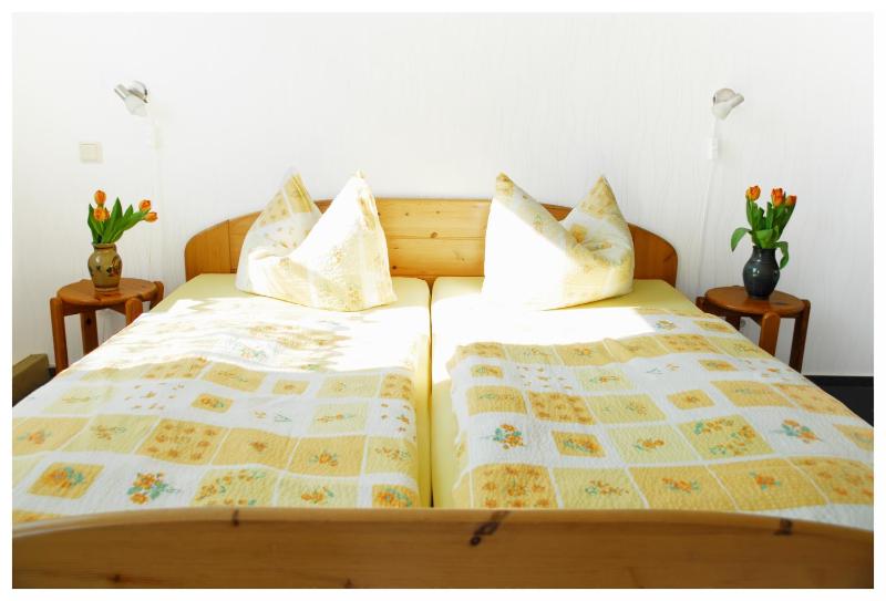  One-Bedroom Apartment image 4