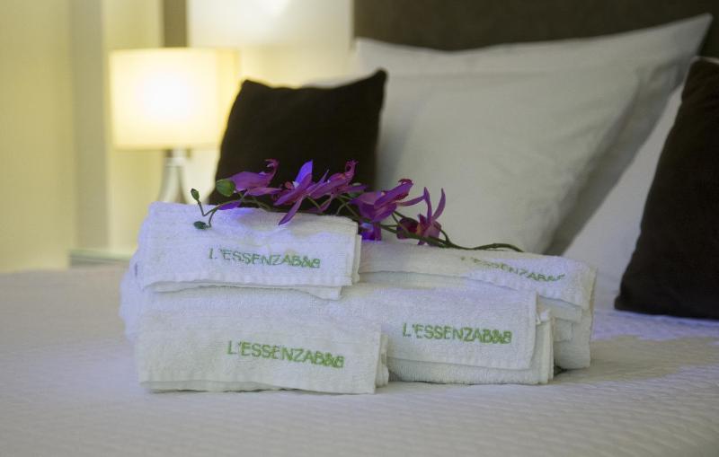 Deluxe Double or Twin Room image 4