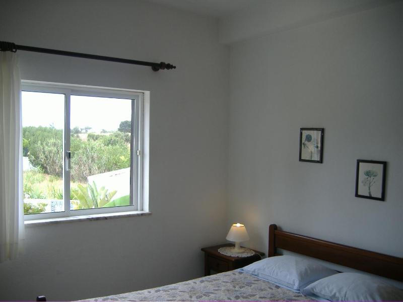 One-Bedroom Apartment image 2