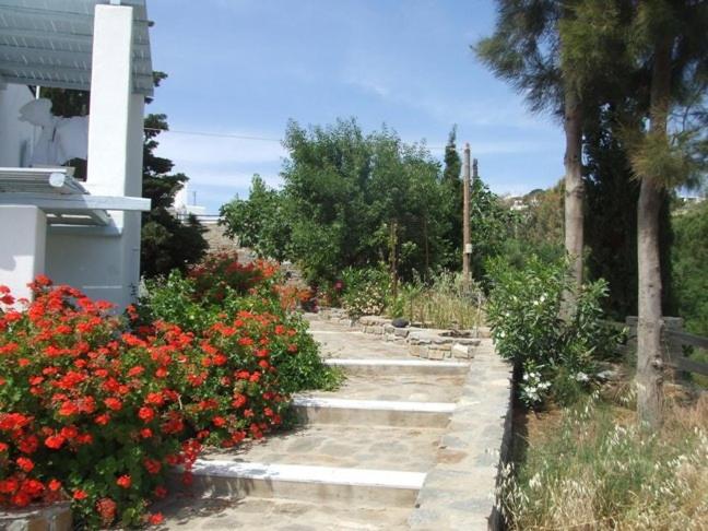 Villas Georgy - image 37