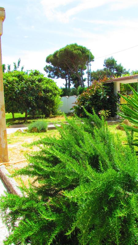 Apartment with Garden View image 2