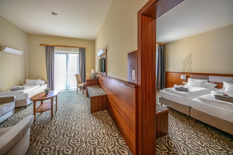 Superior Suite image 4