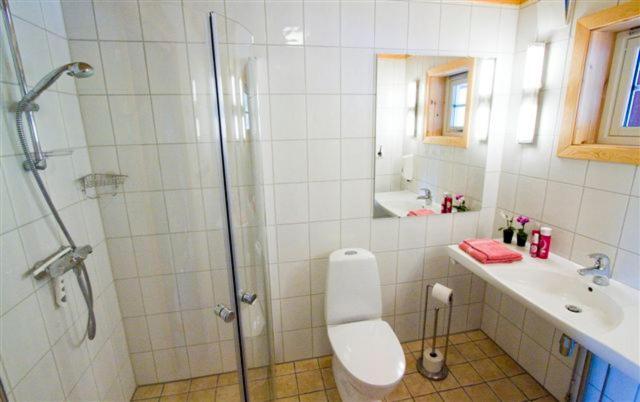 Three-Bedroom Apartment (9 Adults) image 3