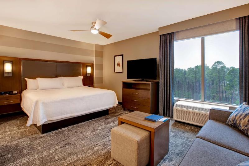 King Studio Suite - Non-Smoking image 4