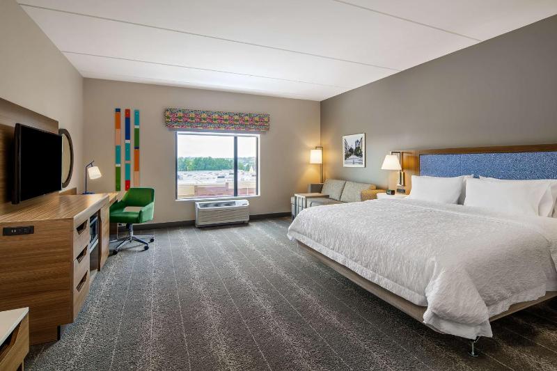 King Room with Sofa Bed - Mobility Access/Non-Smoking