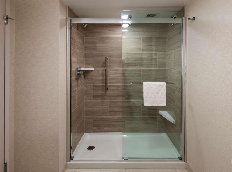 King Studio Suite image 3