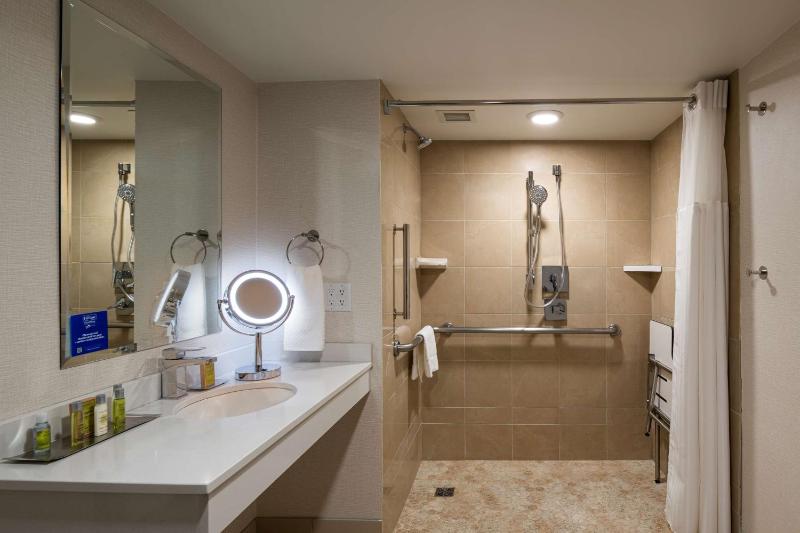 King Room with Roll-In Shower - Mobility Access image 2