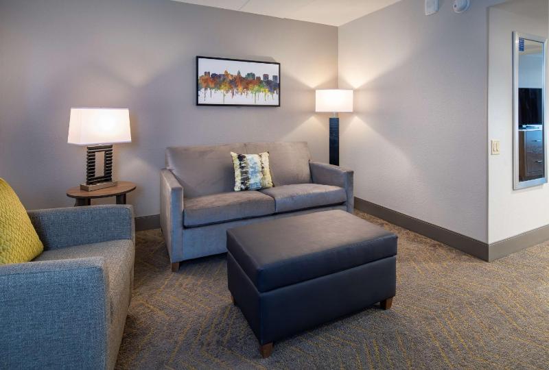 King Studio Suite image 4