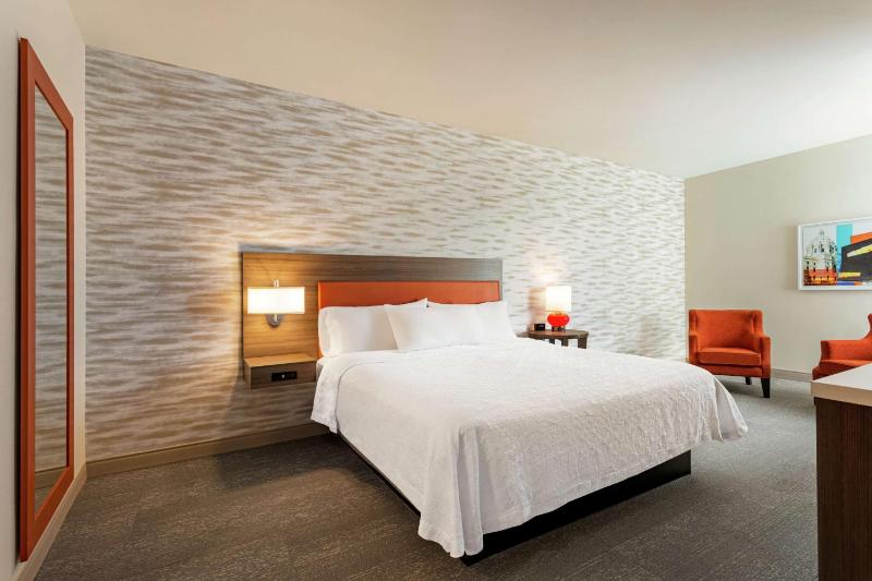 One-Bedroom Suite with One King Bed image 1