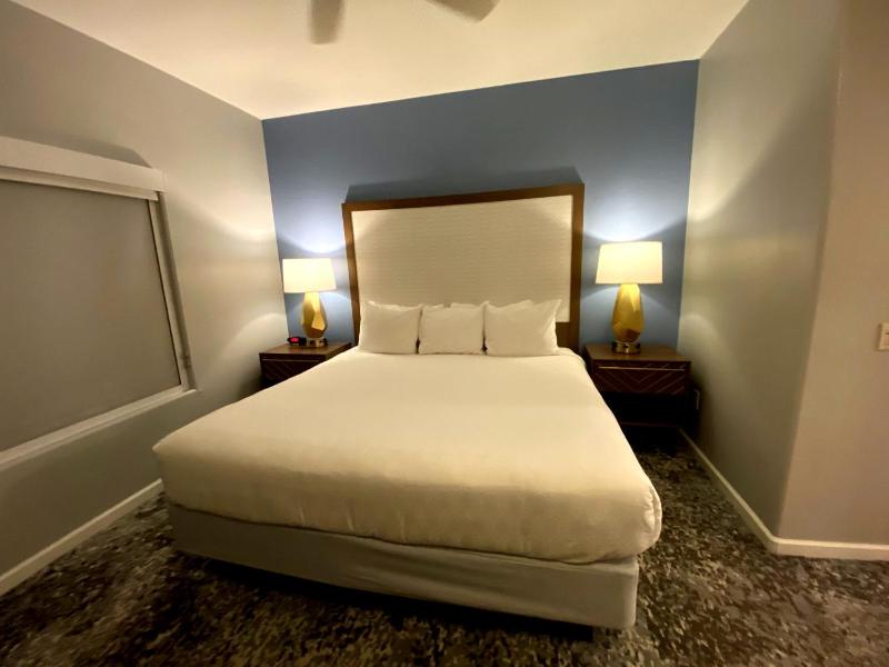 One-Bedroom Apartment image 3